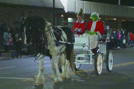 Annual parade reaches 25 years